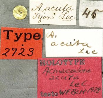Media type: image;   Entomology 2723 Aspect: labels